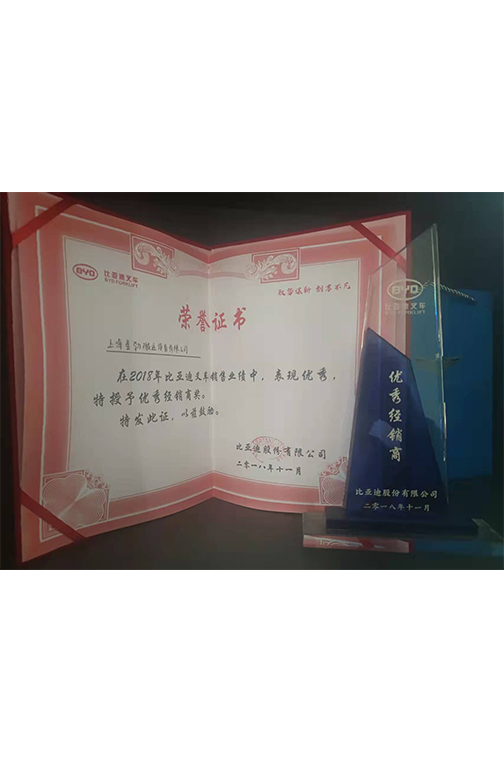 镇江市比亚迪2018优秀经销商